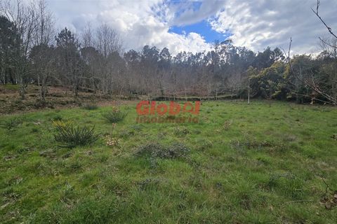 Helårsgrund i Viseu, Viseu, Viseu - € 67.500 | Ref: 189242296 - foto 5