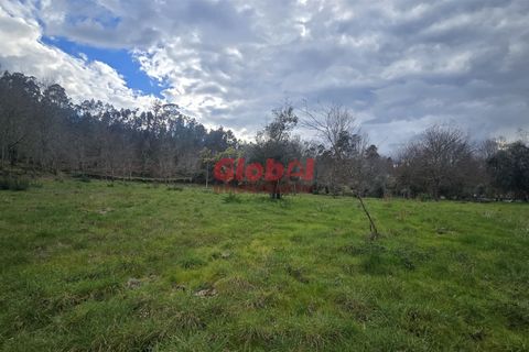 Helårsgrund i Viseu, Viseu, Viseu - € 67.500 | Ref: 189242296 - foto 7