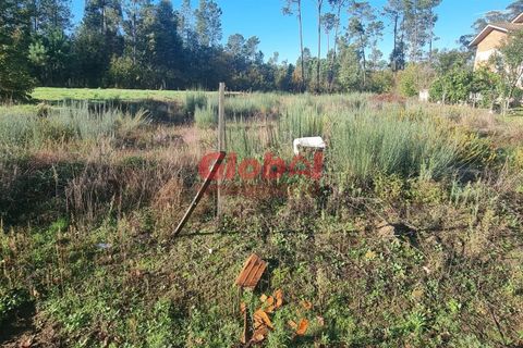 Helårsgrund i Viseu, Viseu, Viseu - € 60.000 | Ref: 189242315 - foto 1