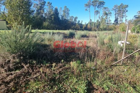 Helårsgrund i Viseu, Viseu, Viseu - € 60.000 | Ref: 189242315 - foto 4