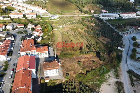 Helårsgrund i Penalva do Castelo, Viseu, Penalva do Castelo - € 265.000 | Ref: 189242319 - foto 2