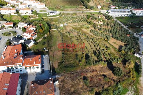 Helårsgrund i Penalva do Castelo, Viseu, Penalva do Castelo - € 265.000 | Ref: 189242319 - foto 3