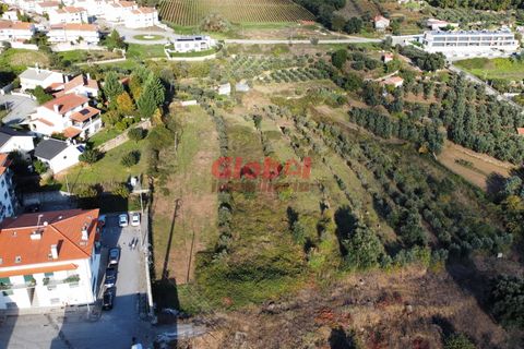 Helårsgrund i Penalva do Castelo, Viseu, Penalva do Castelo - € 265.000 | Ref: 189242319 - foto 4