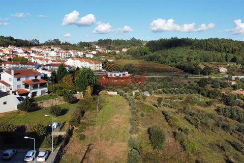 Helårsgrund i Penalva do Castelo, Viseu, Penalva do Castelo - € 265.000 | Ref: 189242319 - foto 5