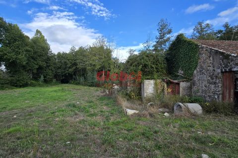 Helårsgrund i Viseu, Viseu, Viseu - € 130.000 | Ref: 189242324 - foto 3
