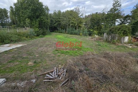 Helårsgrund i Viseu, Viseu, Viseu - € 130.000 | Ref: 189242324 - foto 5