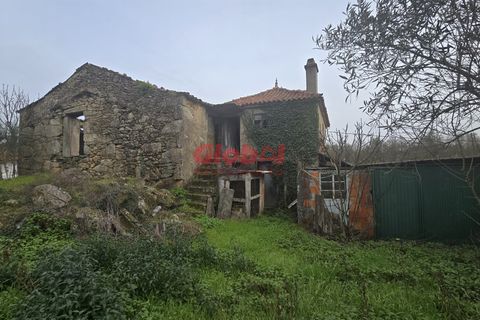 Helårsgrund i Viseu, Viseu, Viseu - € 67.500 | Ref: 189242400 - foto 1
