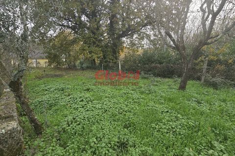 Helårsgrund i Viseu, Viseu, Viseu - € 67.500 | Ref: 189242400 - foto 3