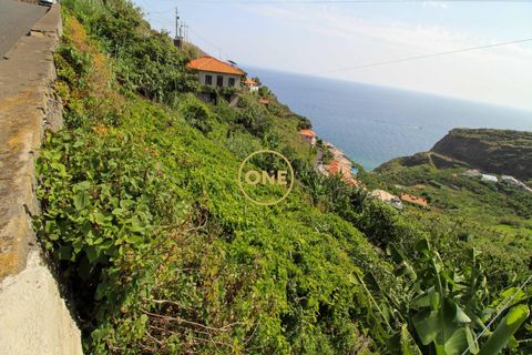 Helårsgrund i Ribeira Brava, Madeira, Ribeira Brava - € 150.000 | Ref: MN000754 - foto 2