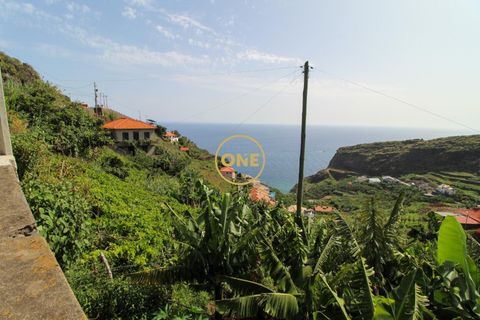 Helårsgrund i Ribeira Brava, Madeira, Ribeira Brava - € 150.000 | Ref: MN000754 - foto 3