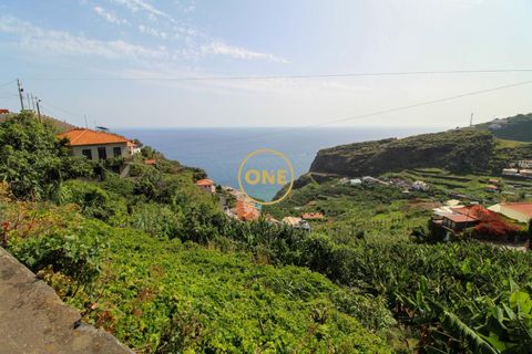 Helårsgrund i Ribeira Brava, Madeira, Ribeira Brava - € 150.000 | Ref: MN000754 - foto 4