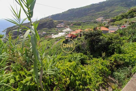 Helårsgrund i Ribeira Brava, Madeira, Ribeira Brava - € 150.000 | Ref: MN000754 - foto 5