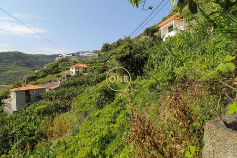 Helårsgrund i Ribeira Brava, Madeira, Ribeira Brava - € 150.000 | Ref: MN000754 - foto 6