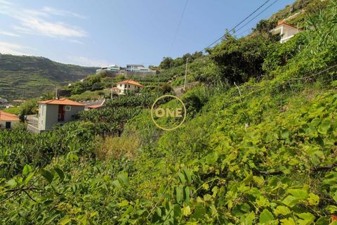 Helårsgrund i Ribeira Brava, Madeira, Ribeira Brava - € 150.000 | Ref: MN000754 - foto 7