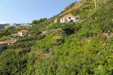 Helårsgrund i Ribeira Brava, Madeira, Ribeira Brava - € 150.000 | Ref: MN000754 - foto 8