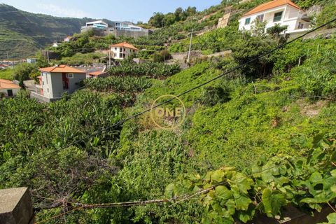 Helårsgrund i Ribeira Brava, Madeira, Ribeira Brava - € 150.000 | Ref: MN000754 - foto 9