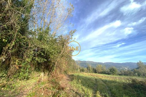 Helårsgrund i Terras de Bouro, Braga, Terras de Bouro - € 20.000 | Ref: ONE141548-8 - foto 3