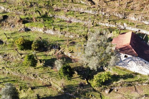 Tomt i Terras de Bouro, Braga, Terras de Bouro - € 95 000 | Ref: ONE141494-27 - foto 27