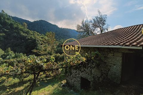 Tomt i Terras de Bouro, Braga, Terras de Bouro - € 95 000 | Ref: ONE141494-27 - foto 2
