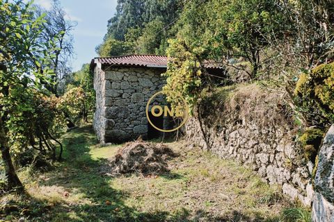 Tomt i Terras de Bouro, Braga, Terras de Bouro - € 95 000 | Ref: ONE141494-27 - foto 3