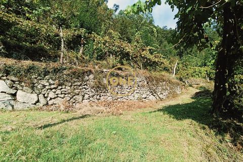Tomt i Terras de Bouro, Braga, Terras de Bouro - € 95 000 | Ref: ONE141494-27 - foto 13