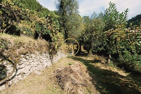 Tomt i Terras de Bouro, Braga, Terras de Bouro - € 95 000 | Ref: ONE141494-27 - foto 19