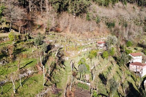 Tomt i Terras de Bouro, Braga, Terras de Bouro - € 95 000 | Ref: ONE141494-27 - foto 21