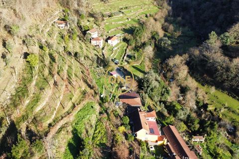 Tomt i Terras de Bouro, Braga, Terras de Bouro - € 95 000 | Ref: ONE141494-27 - foto 22