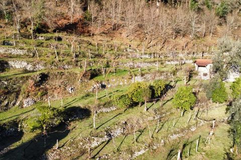 Tomt i Terras de Bouro, Braga, Terras de Bouro - € 95 000 | Ref: ONE141494-27 - foto 23