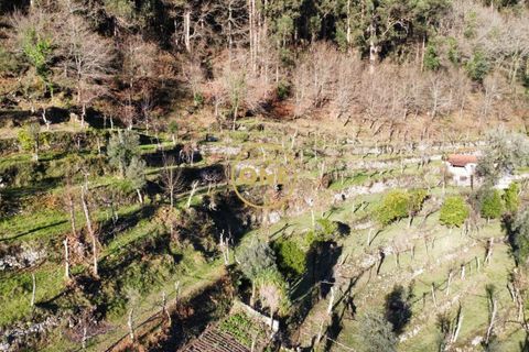 Tomt i Terras de Bouro, Braga, Terras de Bouro - € 95 000 | Ref: ONE141494-27 - foto 24