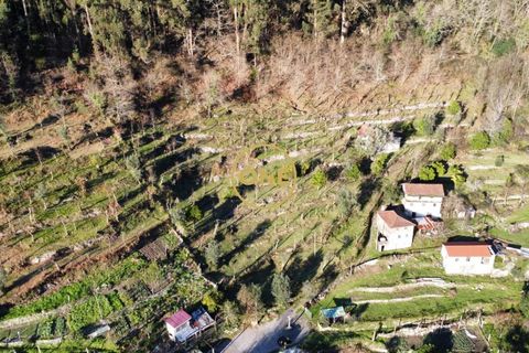 Tomt i Terras de Bouro, Braga, Terras de Bouro - € 95 000 | Ref: ONE141494-27 - foto 25