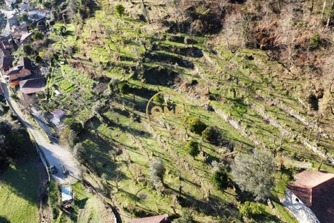 Tomt i Terras de Bouro, Braga, Terras de Bouro - € 95 000 | Ref: ONE141494-27 - foto 26