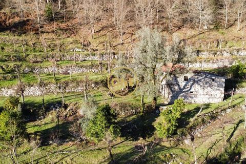 Tomt i Terras de Bouro, Braga, Terras de Bouro - € 95 000 | Ref: ONE141494-27 - foto 28
