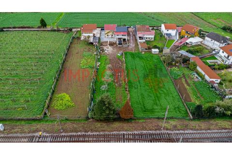 Haus in Trofa, Porto, Trofa - € 550.000 | Ref: TC1593 - Foto 29