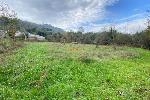Terra a Terras de Bouro, Braga, Terras de Bouro - € 20.000 | Ref: ONE141548-10 - foto 2