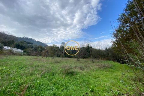 Terra a Terras de Bouro, Braga, Terras de Bouro - € 20.000 | Ref: ONE141548-10 - foto 3