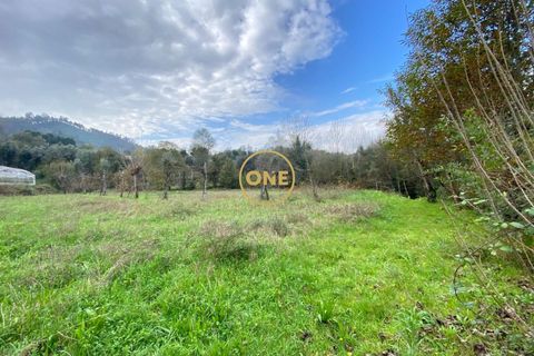 Terra a Terras de Bouro, Braga, Terras de Bouro - € 20.000 | Ref: ONE141548-10 - foto 4