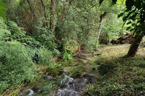 Helårsgrund i Vila Verde, Braga, Vila Verde - € 75.000 | Ref: ONE141494-10 - foto 4