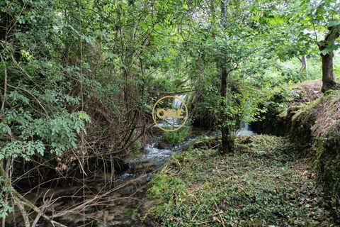 Helårsgrund i Vila Verde, Braga, Vila Verde - € 75.000 | Ref: ONE141494-10 - foto 5
