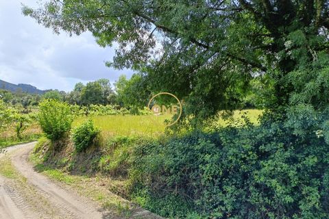 Helårsgrund i Vila Verde, Braga, Vila Verde - € 75.000 | Ref: ONE141494-10 - foto 7