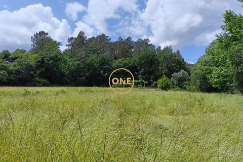 Helårsgrund i Vila Verde, Braga, Vila Verde - € 75.000 | Ref: ONE141494-10 - foto 9