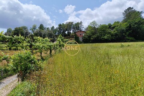 Helårsgrund i Vila Verde, Braga, Vila Verde - € 75.000 | Ref: ONE141494-10 - foto 11