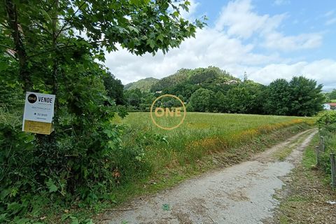 Helårsgrund i Vila Verde, Braga, Vila Verde - € 75.000 | Ref: ONE141494-10 - foto 17