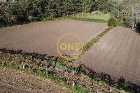 Helårsgrund i Vila Verde, Braga, Vila Verde - € 75.000 | Ref: ONE141494-10 - foto 19