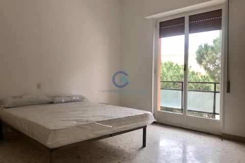 Estudi a Catanzaro, Catanzaro, Catanzaro - € 200/mes | Ref: CZ02-AA523 - foto 2