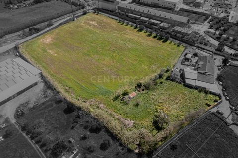 Helårsgrund i Evora, Evora, Evora - € 1.800.000 | Ref: C0486-00104 - foto 3