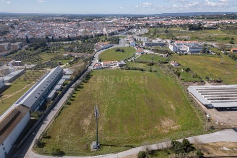 Helårsgrund i Evora, Evora, Evora - € 1.800.000 | Ref: C0486-00104 - foto 9