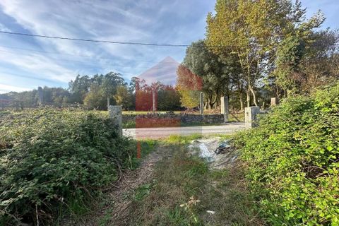 Helårsgrund i Vila Verde, Braga, Vila Verde - € 46.150 | Ref: 08482 - foto 7