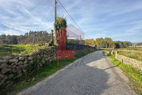 Helårsgrund i Vila Verde, Braga, Vila Verde - € 46.150 | Ref: 08482 - foto 14