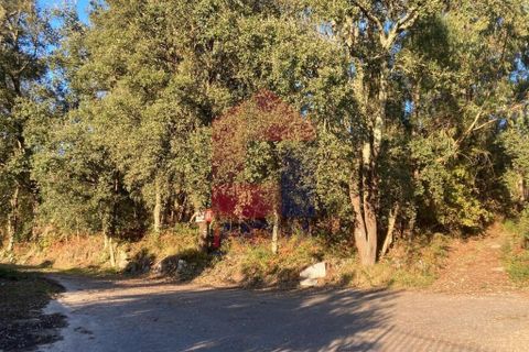 Helårsgrund i Vila Verde, Braga, Vila Verde - € 170.000 | Ref: 08530 - foto 3